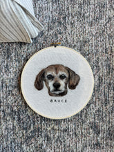 Load image into Gallery viewer, Felt Pet Portrait (Embroidery Hoop)