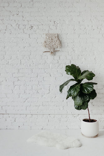 Owl Macrame Wall Hanging