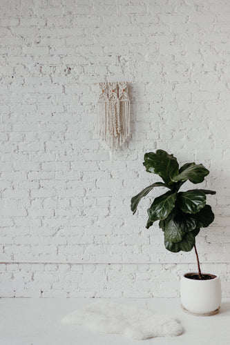 Rose Gold Macrame Wall Hanging