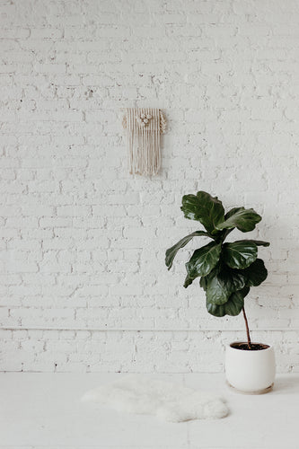 Macadamia Macrame Wall Hanging