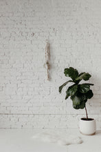 Load image into Gallery viewer, Macrame Plant Hanger