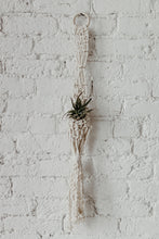 Load image into Gallery viewer, Macrame Air Plant Hanger